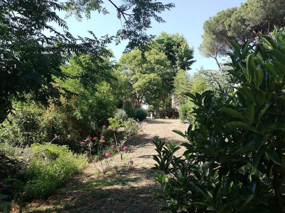 Appartamento Roma, Exteriér fotografie